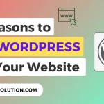 Importance Of WordPress Website