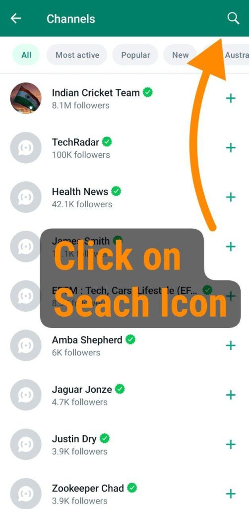 click on search icon